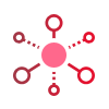 Premium Routing Network
